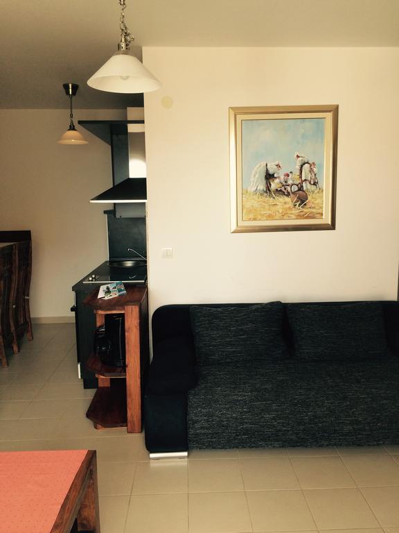 Apartment Kovacica 프리모스턴 외부 사진